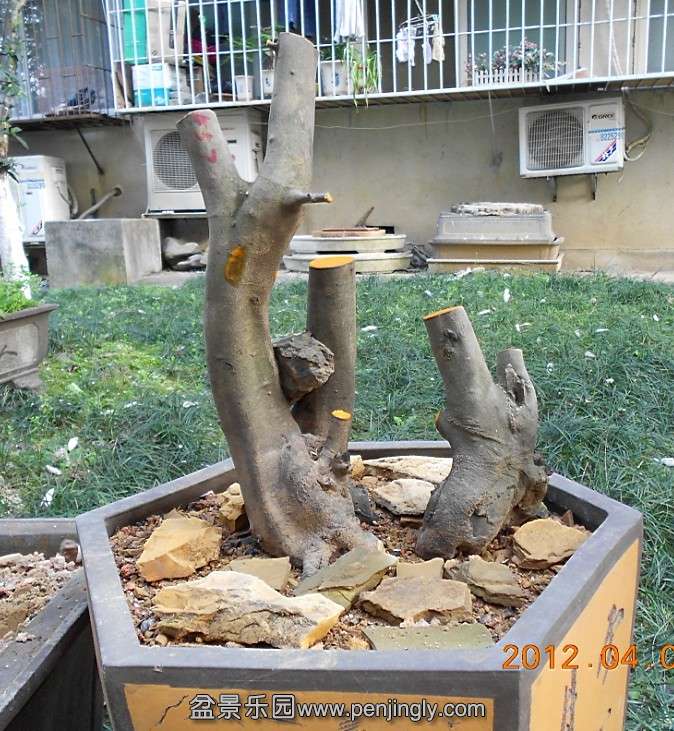18ѻ4.jpg
