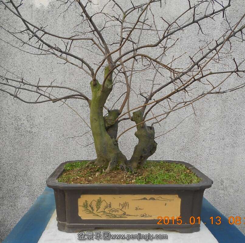 18ѻ6.jpg