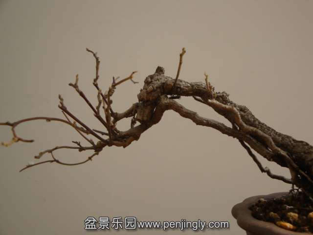 DSC09844.JPG