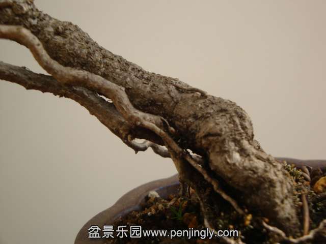 DSC09845.JPG