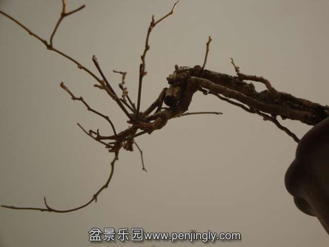 DSC09846.JPG
