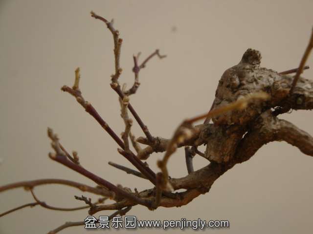 DSC09847.JPG