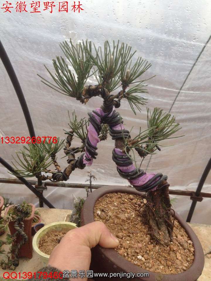 929EAA3106BE8BDBA8BA1A93F839C9EA.jpg