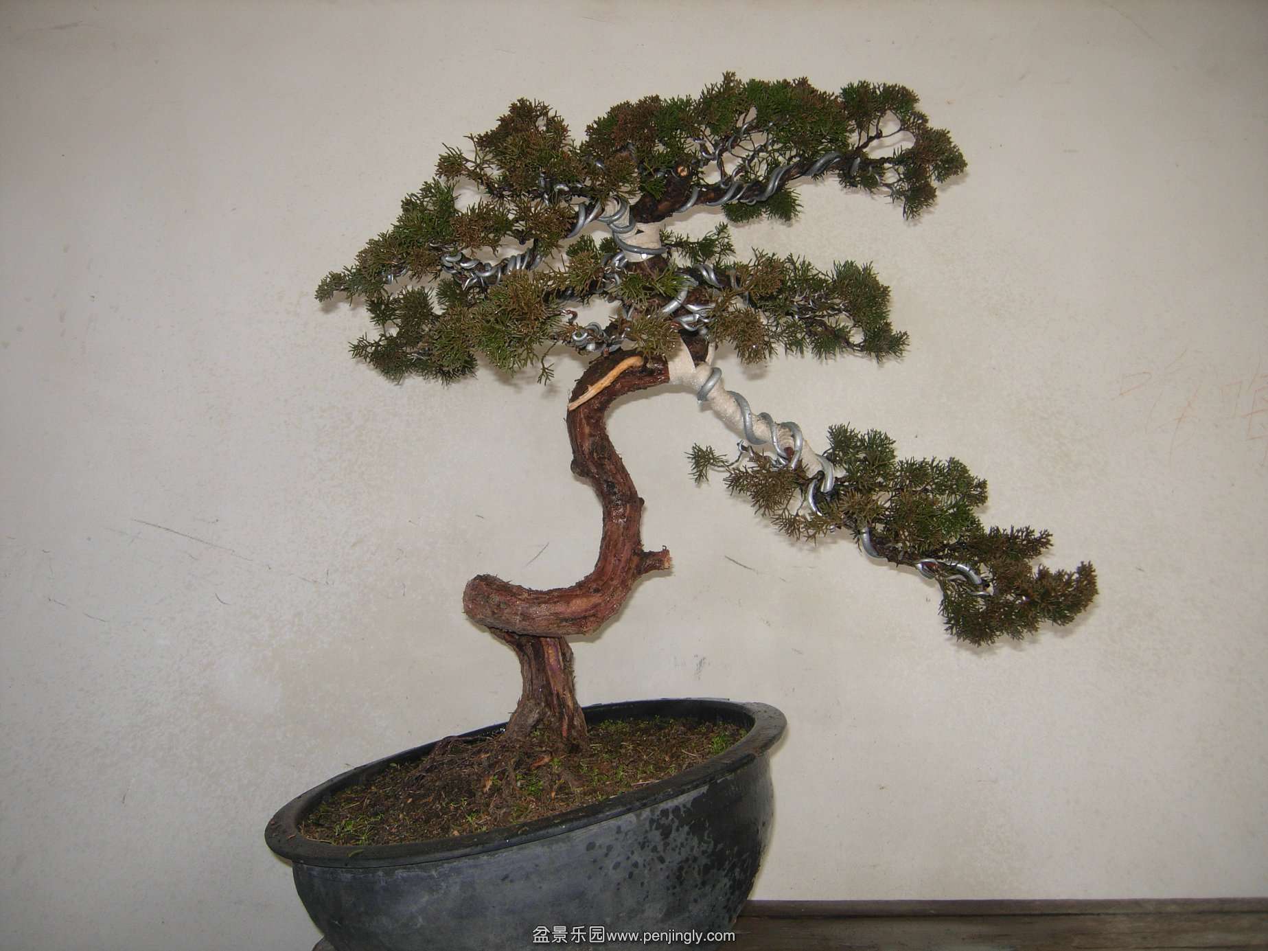 DSCN7715.JPG