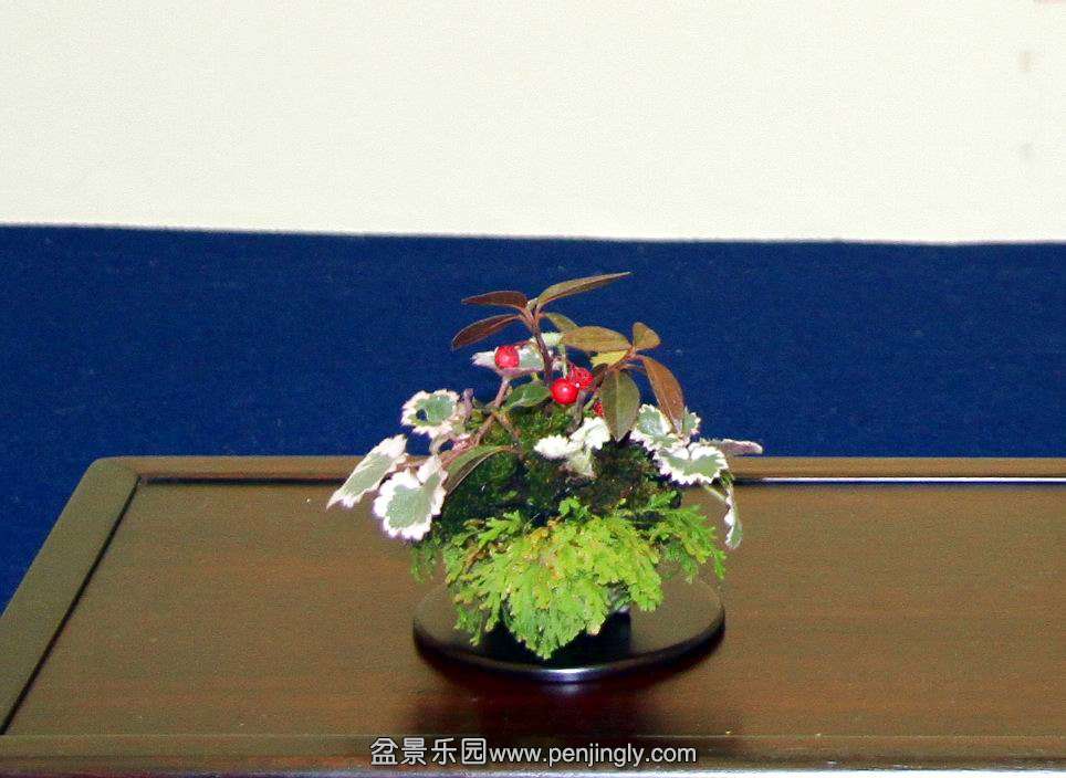 IMG_9683.JPG