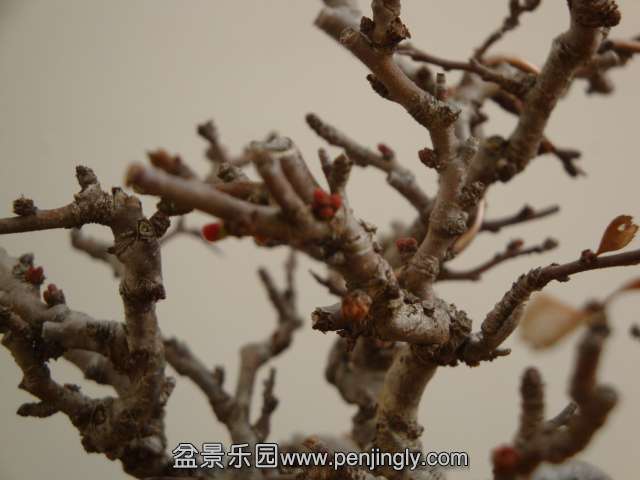 DSC09836.JPG