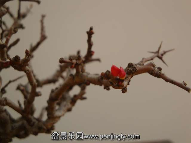 DSC09837.JPG