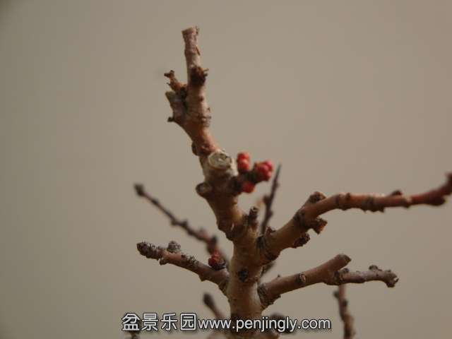 DSC09838.JPG