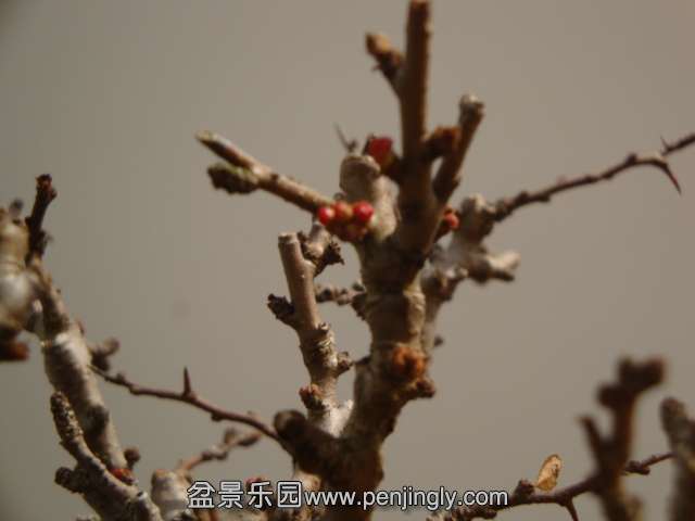 DSC09839.JPG