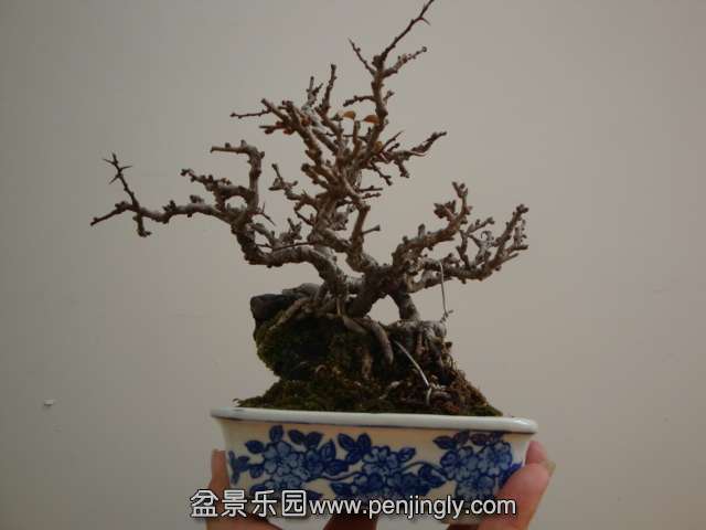 DSC09840.JPG