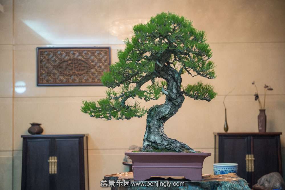 �������� (1).jpg