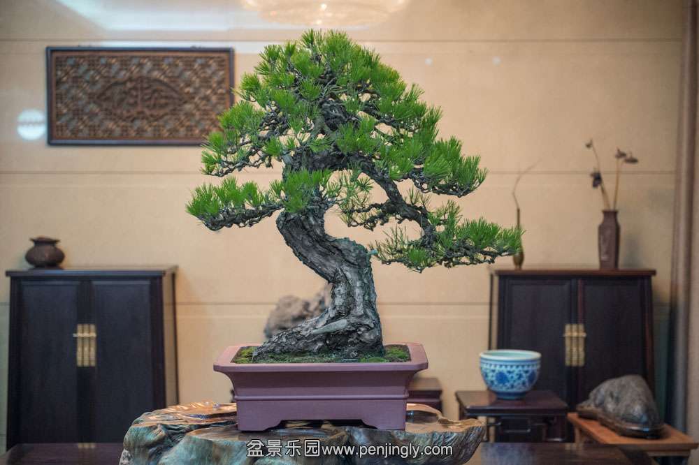 �������� (2).jpg