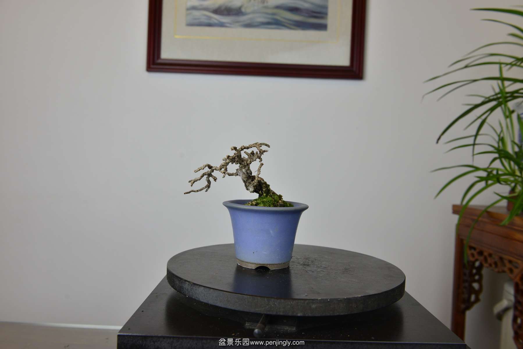 _DSC8354.JPG