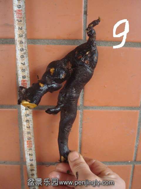DSC00726.JPG