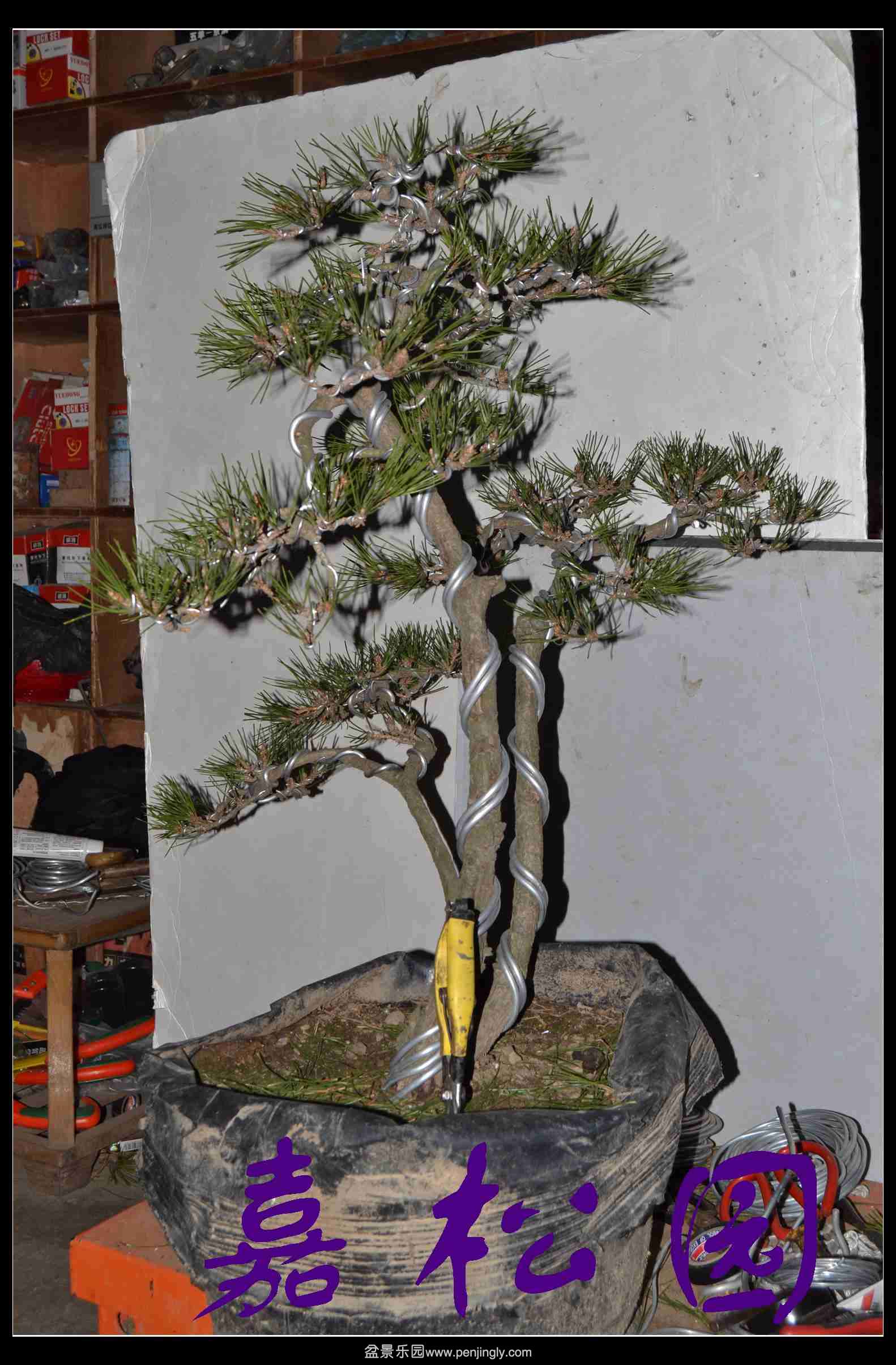 ���˺��� 006.JPG