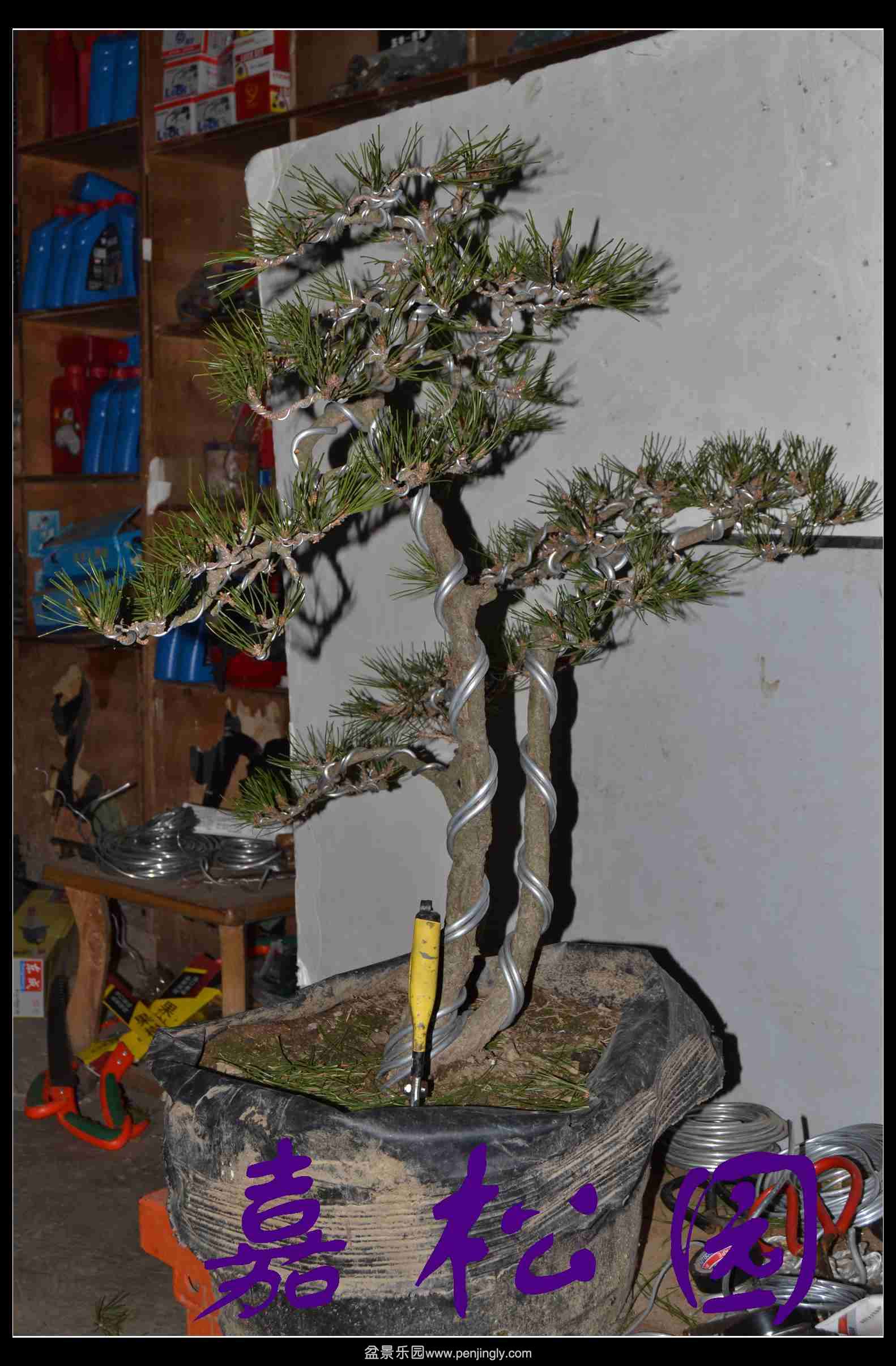 ���˺��� 007.JPG