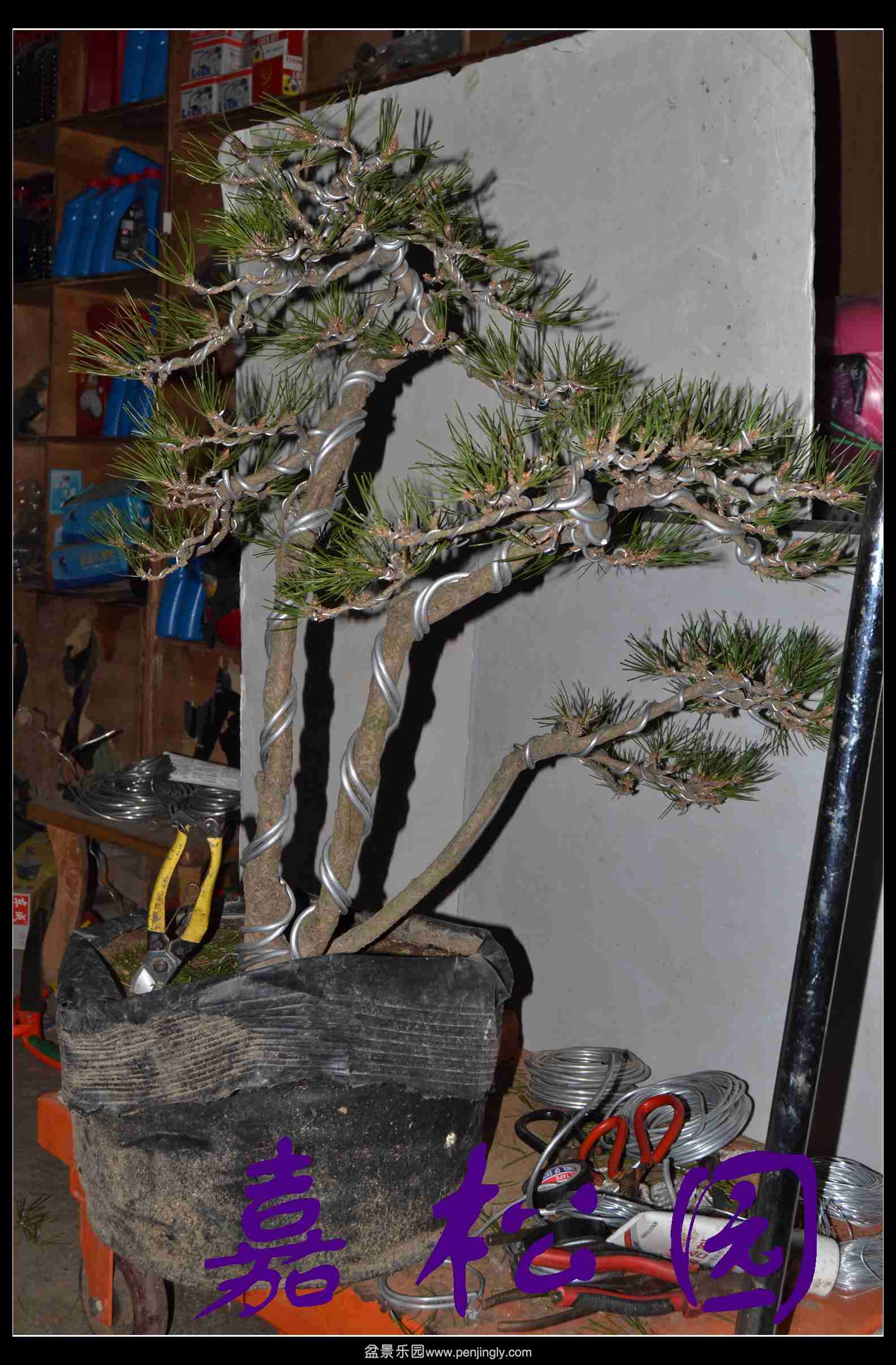 ���˺��� 009.JPG