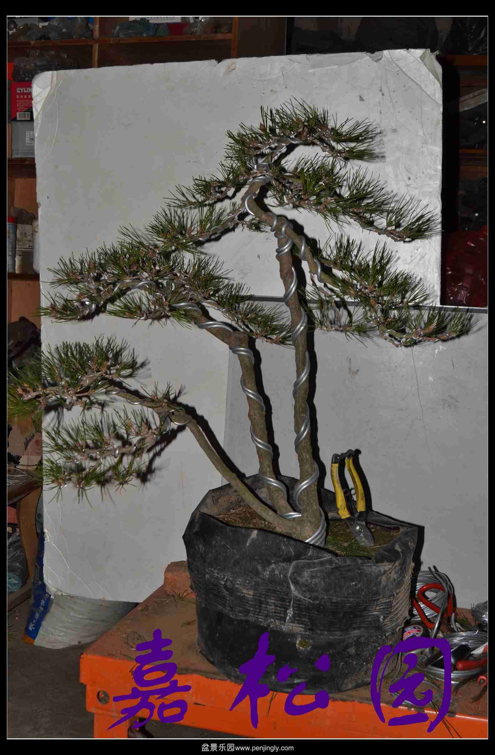 ���˺��� 018.JPG