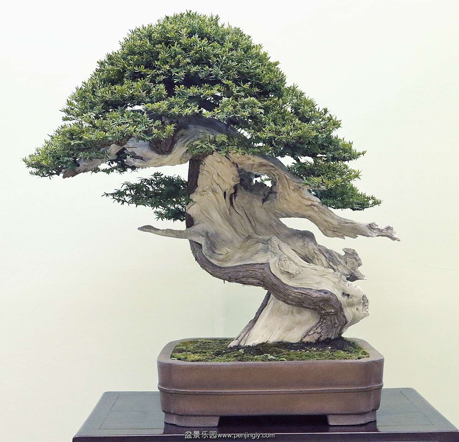 p4a7482.jpg