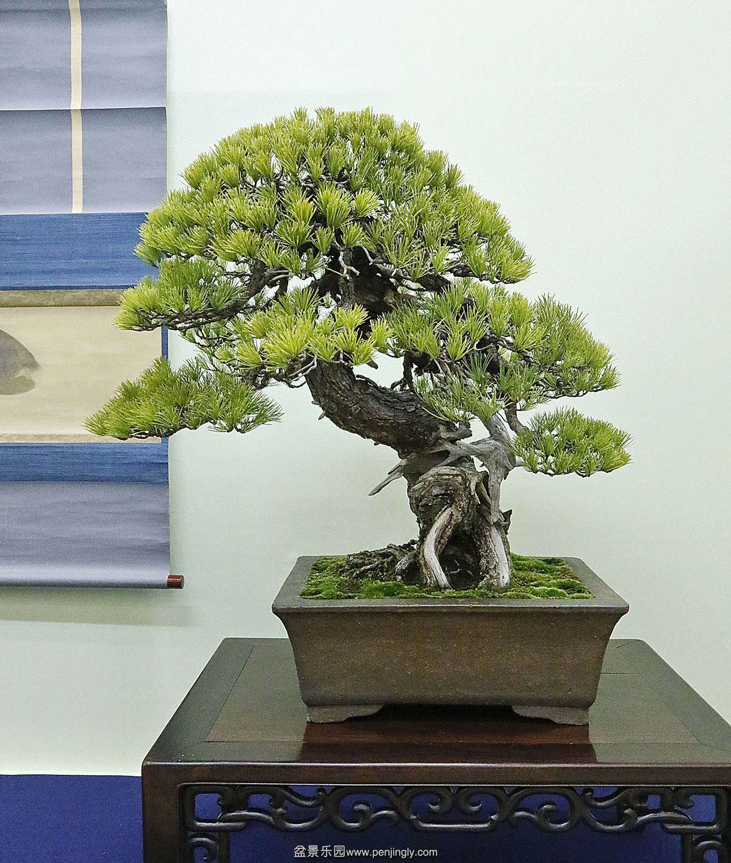 p4a7637_conew1.jpg