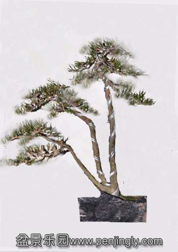 ���� ����.jpg