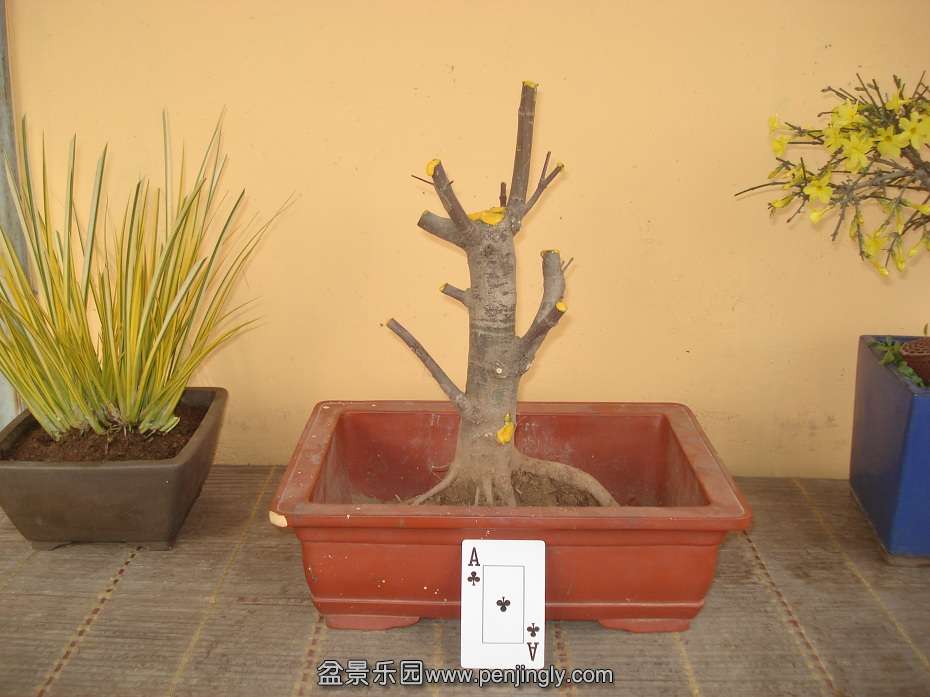 DSC01536.JPG