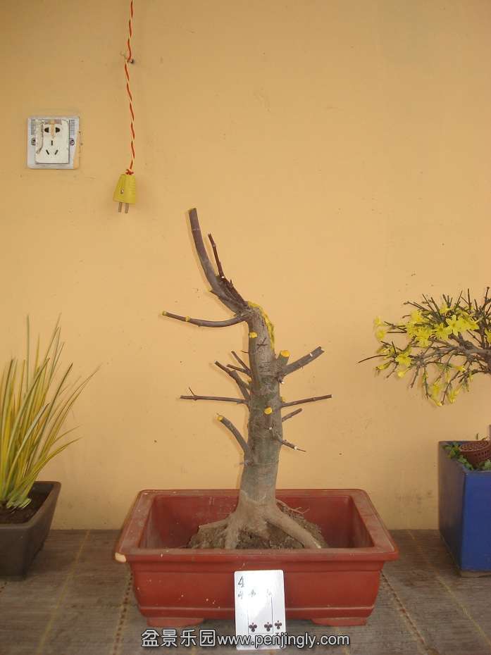 DSC01544.JPG