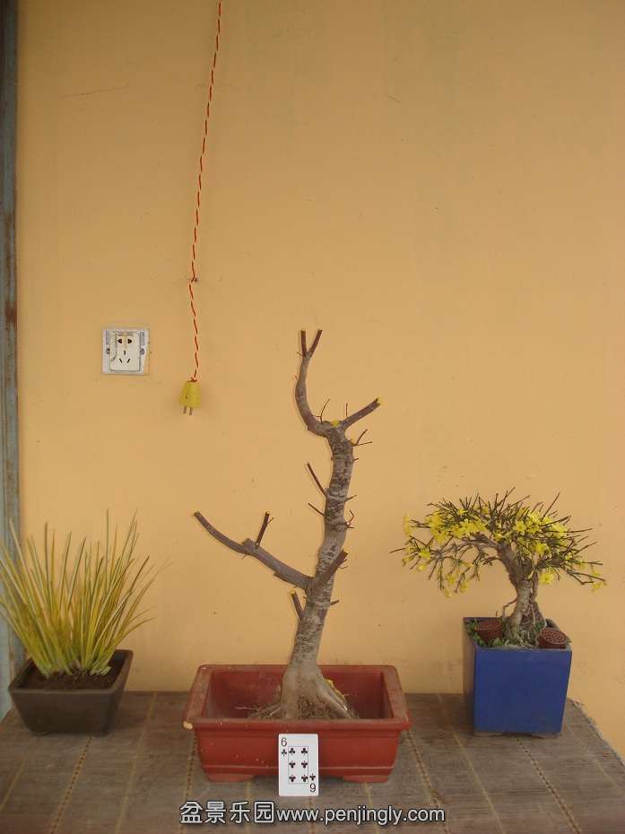 DSC01547.JPG