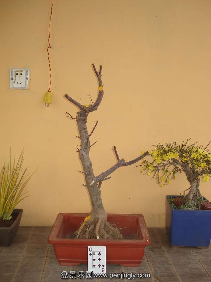 DSC01549.JPG