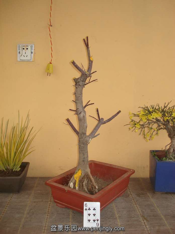 DSC01550.JPG