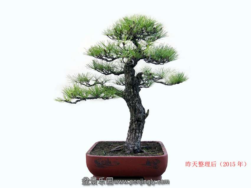 IMG_0569 ����.jpg