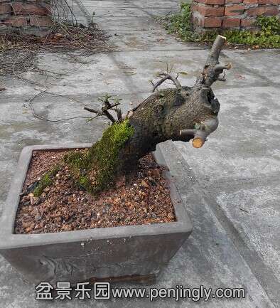 QQͼƬ20150120124659.jpg