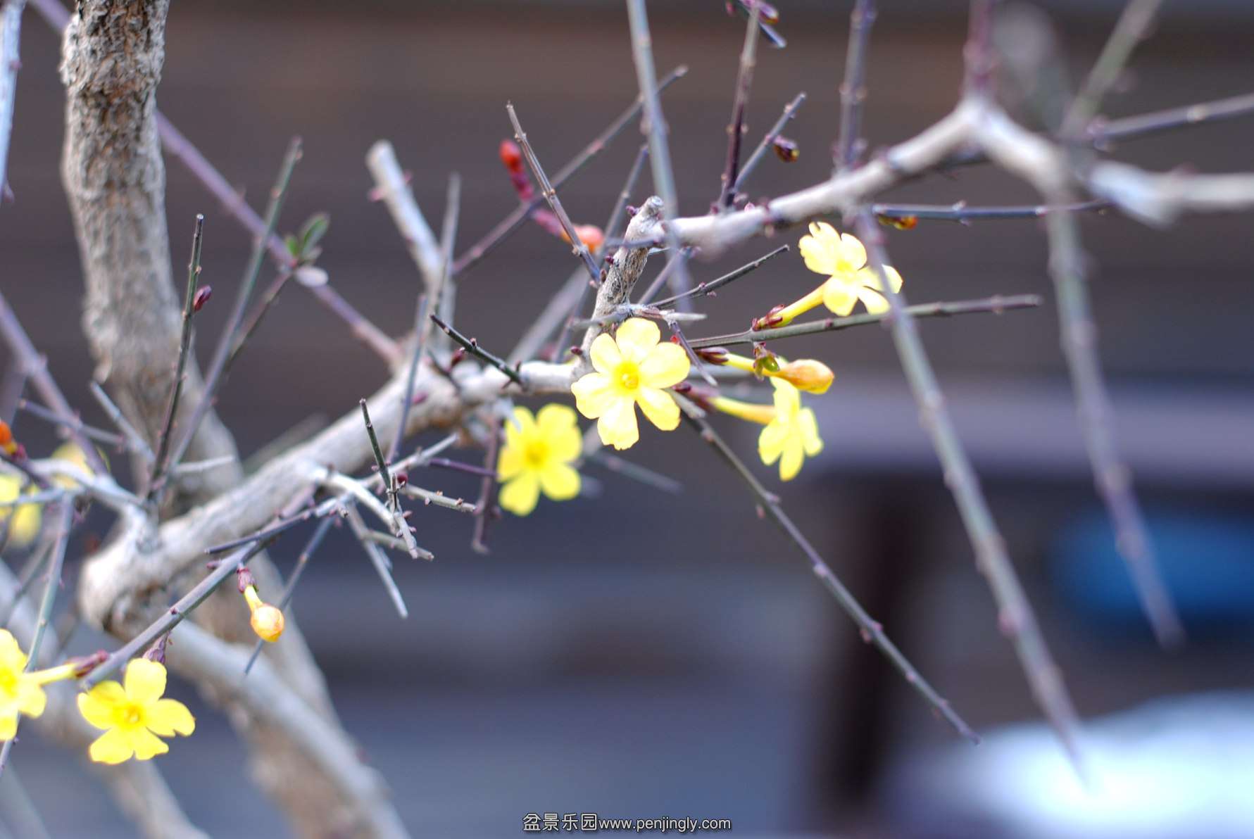 DSC_3642.JPG