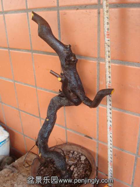 DSC01022.JPG