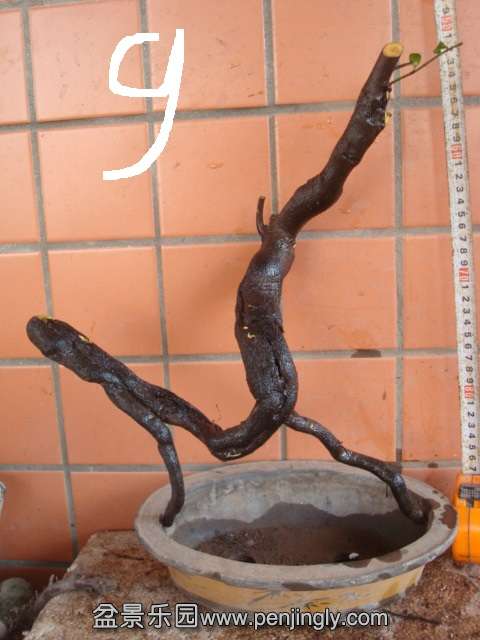 DSC01025.JPG