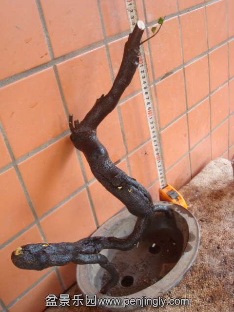 DSC01027.JPG