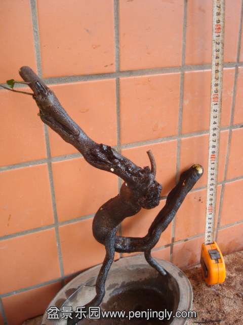 DSC01029.JPG