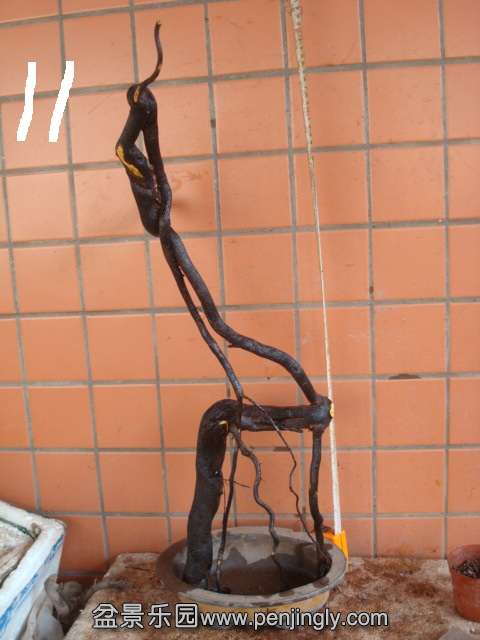DSC01036.JPG