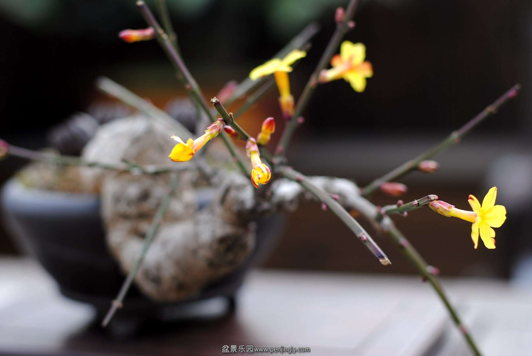 DSC_3757.JPG