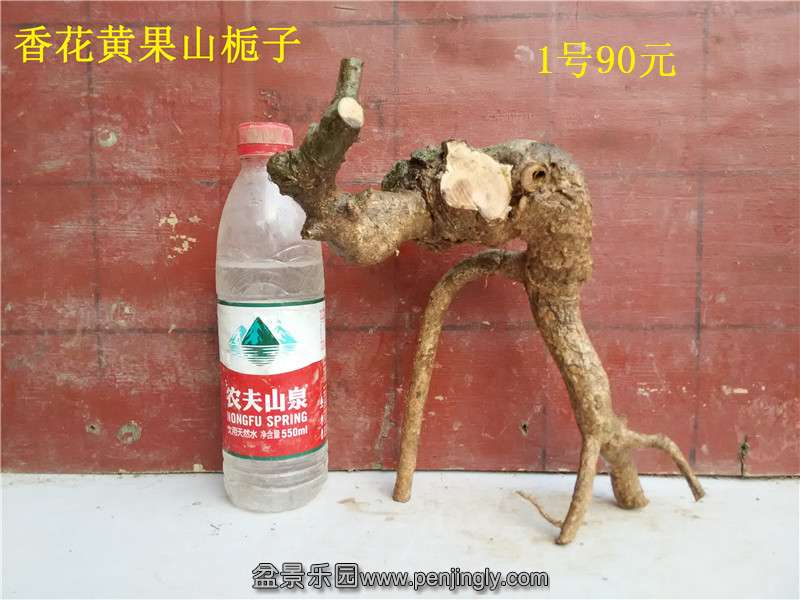 01.jpg