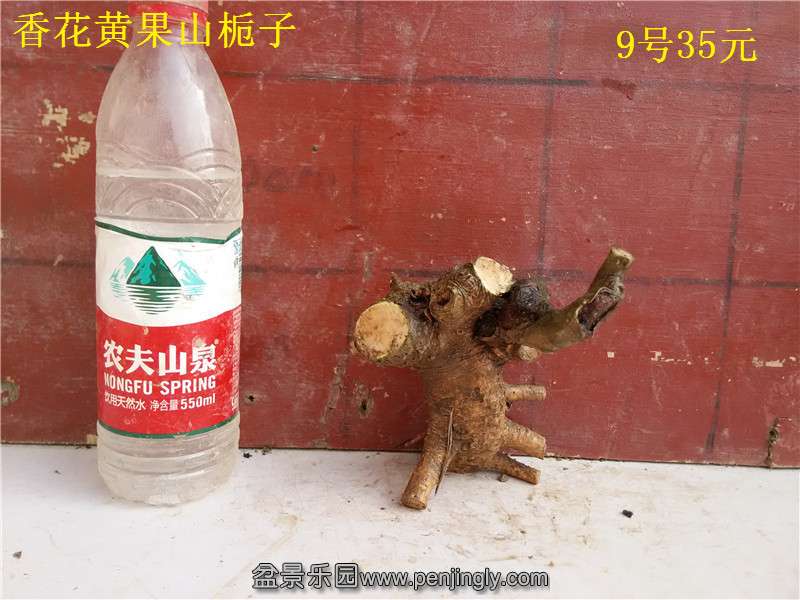 09.jpg