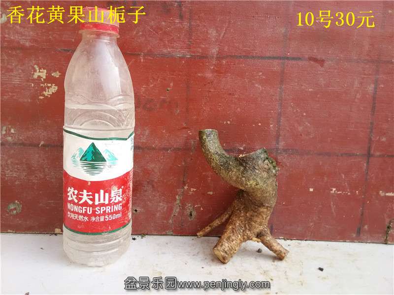 10.jpg