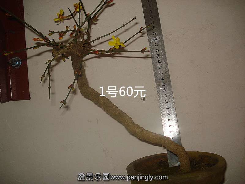 DSC09173_.jpg