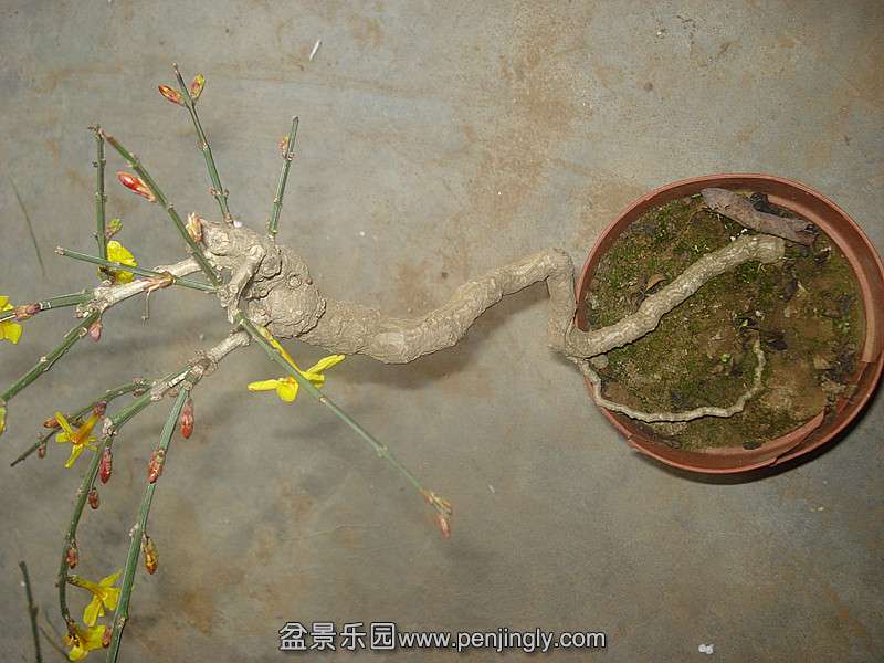 DSC09180_.jpg
