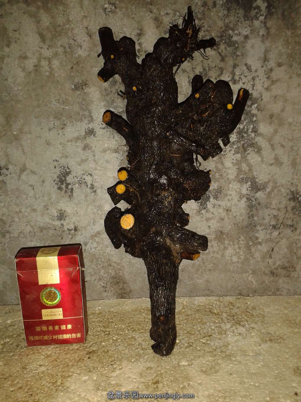 20150123_185215.jpg