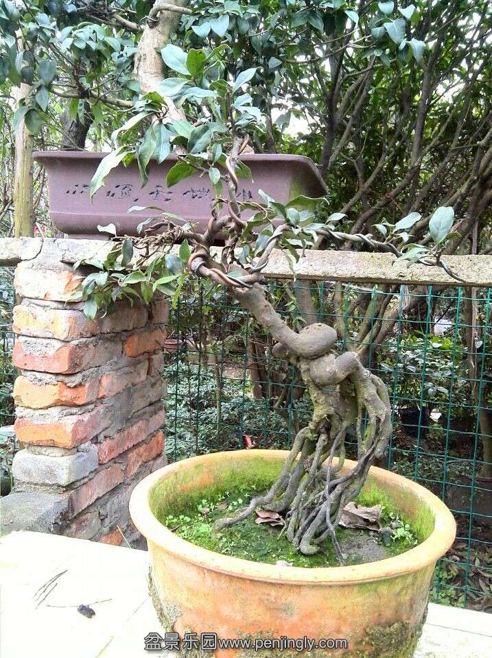 QQͼƬ20141204201703.jpg