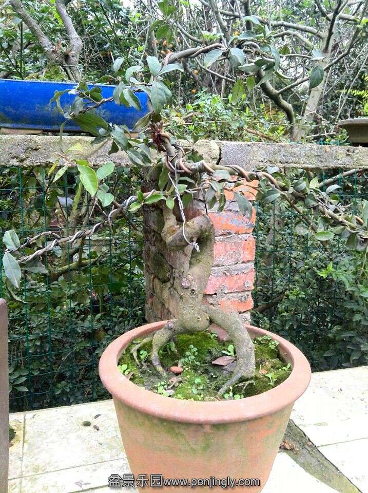 QQͼƬ20141204201608.jpg