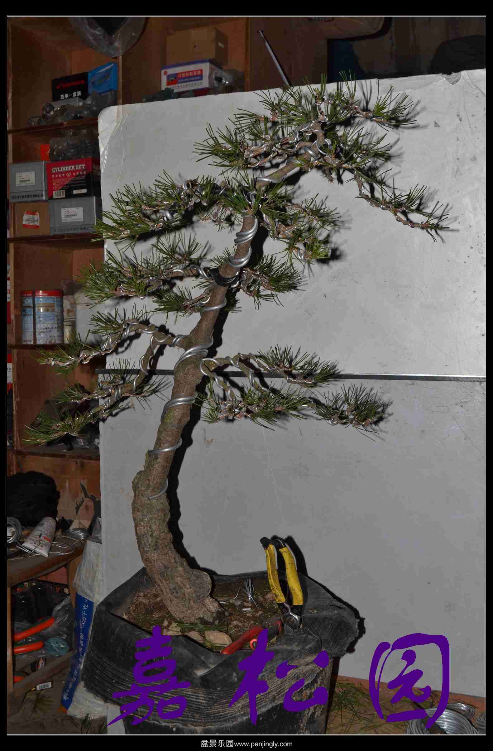 ����3�ú��� 002.JPG