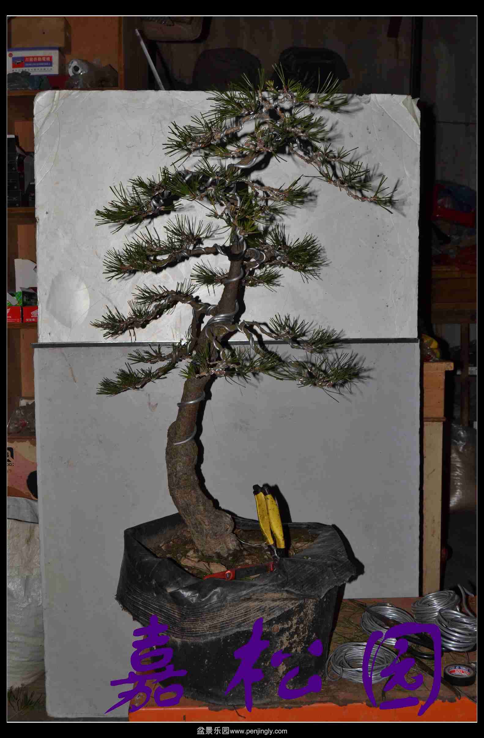 ����3�ú��� 004.JPG