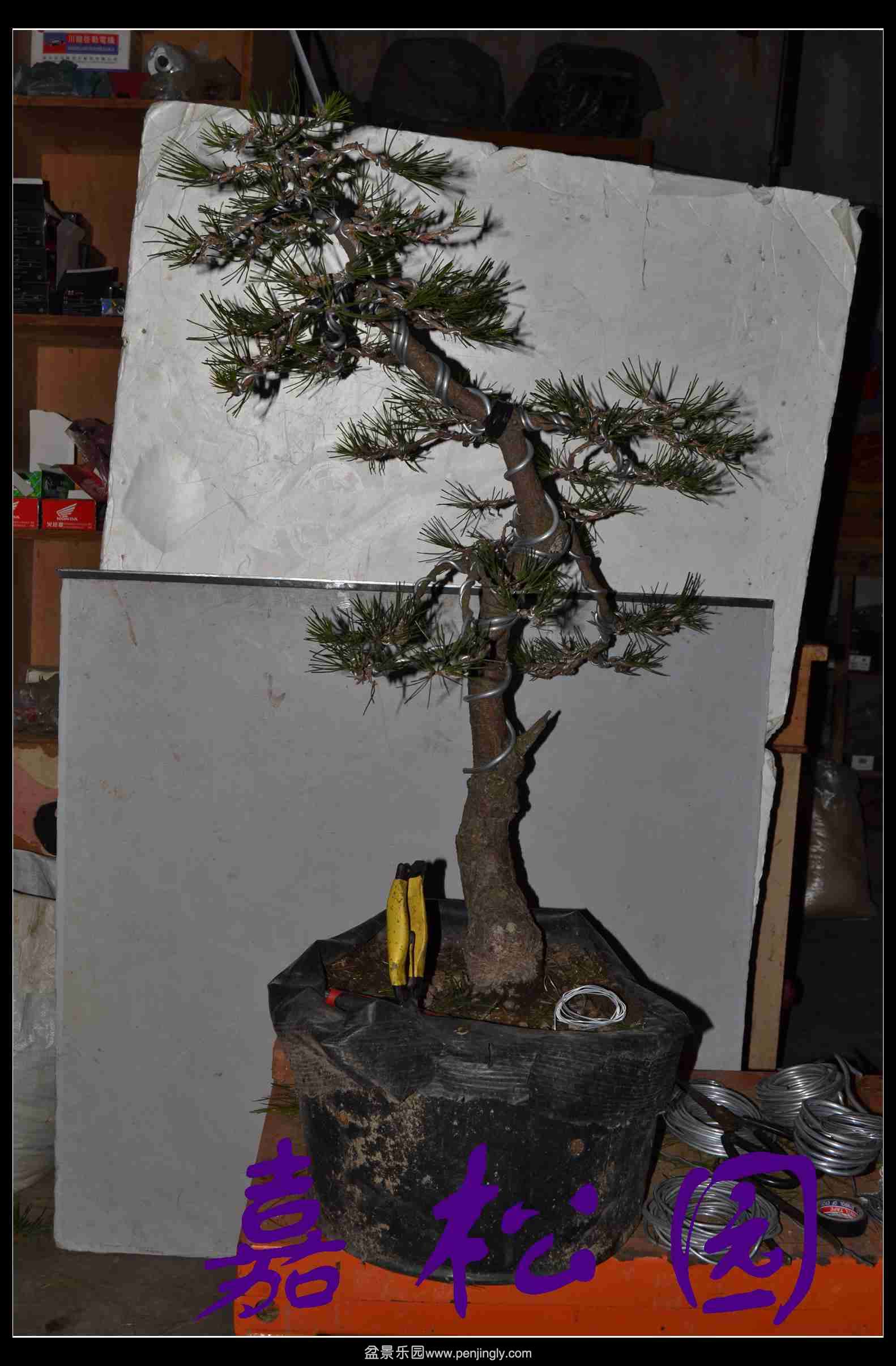 ����3�ú��� 006.JPG